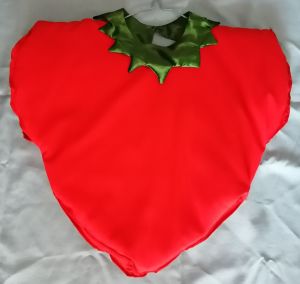 Kids Costumes to Hire - Strawberry Bib